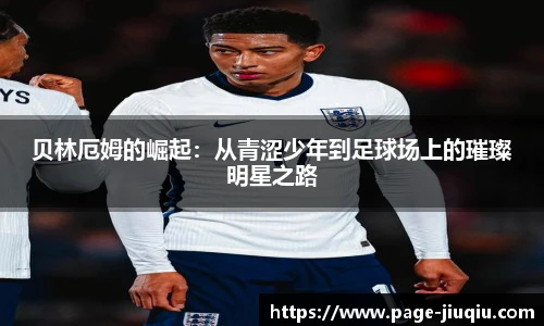 九球直播